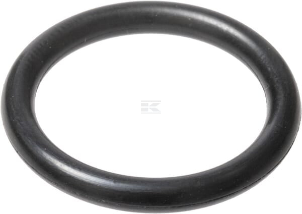 O-Ring
