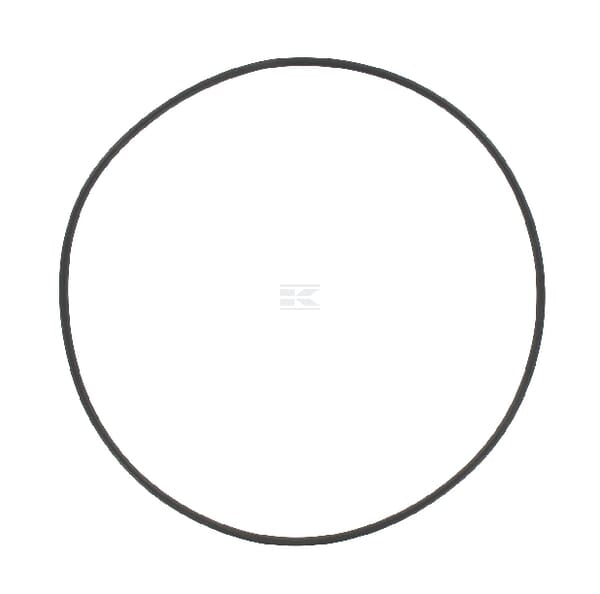 Dichtungsring B.P.