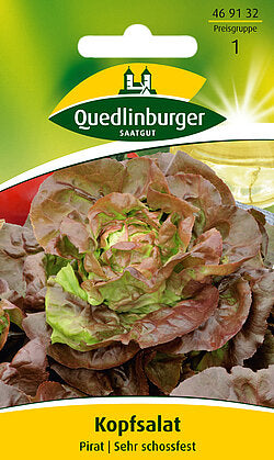 Kopfsalat-Pirat