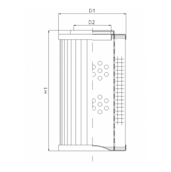 D110C25AV Hydraulikfilterelement (Druckfilter)