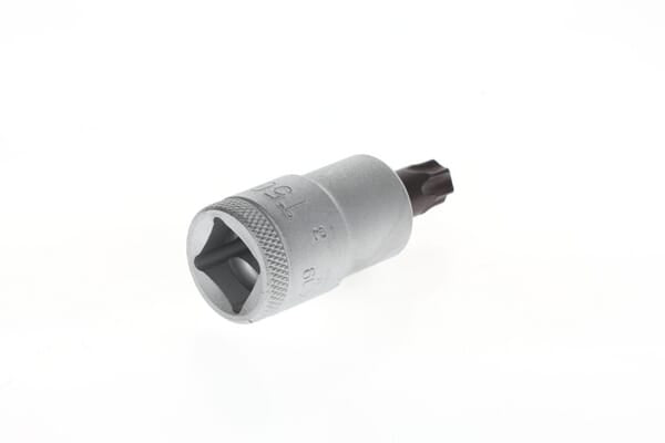 Torxeinsatz 1/2 T50