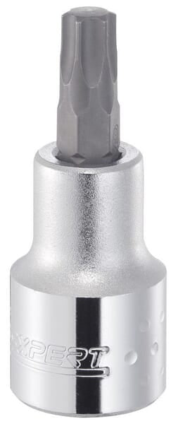 Torxeinsatz 1/2" T20