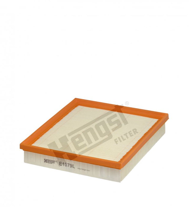 E1079L Luftfilterelement