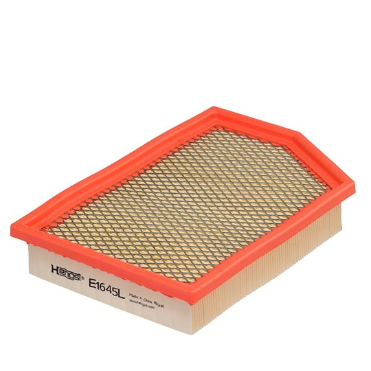 E1645L Luftfilterelement