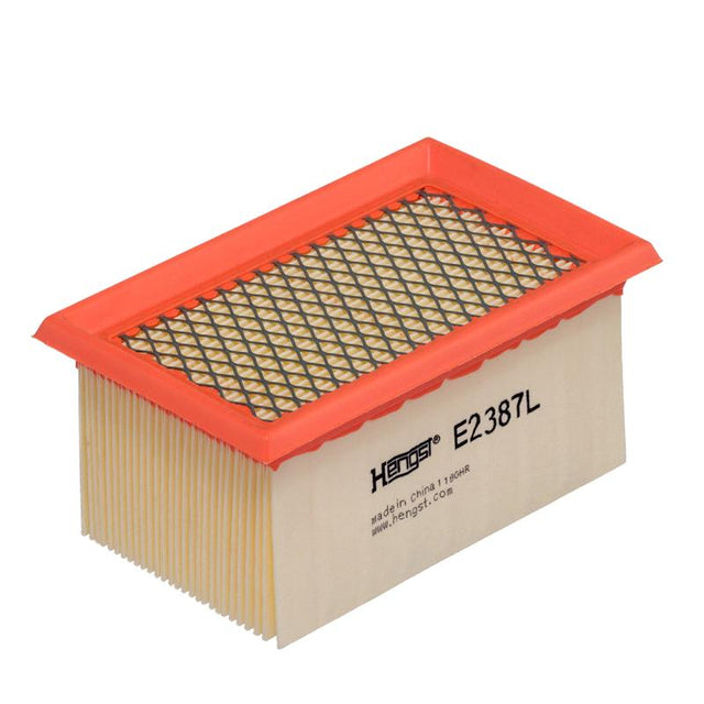 E2387L Luftfilterelement