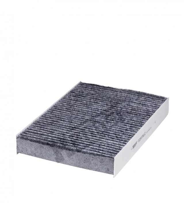 E2975LC Innenraumfilterelement