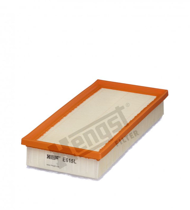 E615L Luftfilterelement