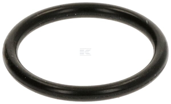 O-Ring
