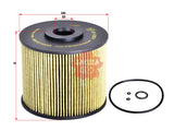 EF-13021 Kraftstofffilterelement