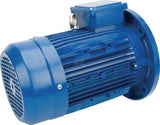 Elektromotor 0,75 kW