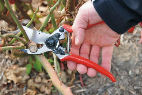 Gartenschere Nr. 11, Felco