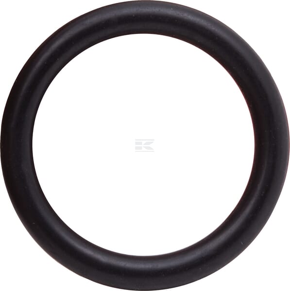 Schlauchstutzen F 1" BSP/19mm