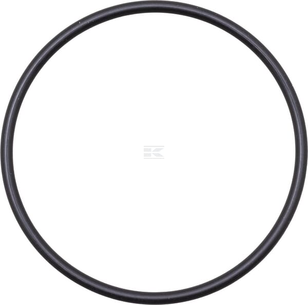 O-Ring