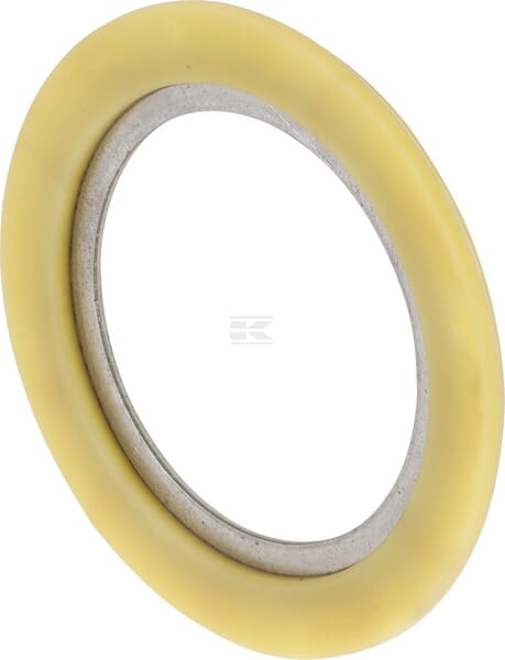 Dichtring