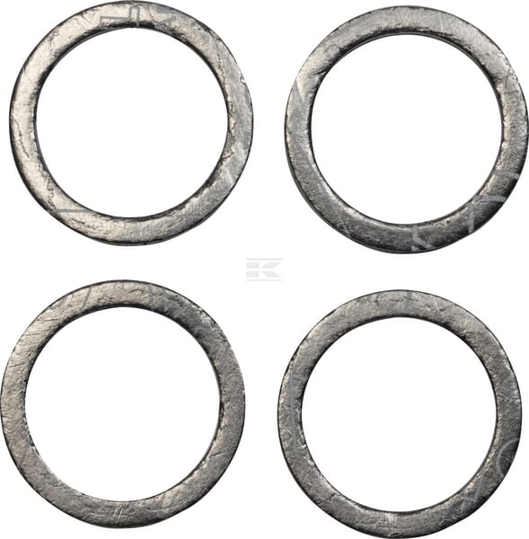 Dichtring