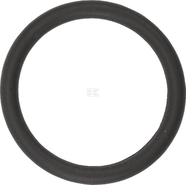 O-Ring 20x2,5