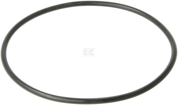 O-Ring 94,85x3,53
