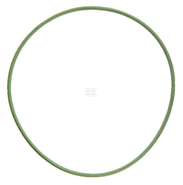 O-Ring 100 x 2,5: 70 FKM