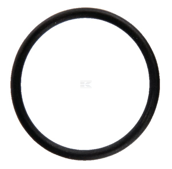 O-Ring 42,00X3,50 FKM 80 PTFE
