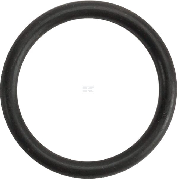 O-Ring 20,29x2,62 FKM 80