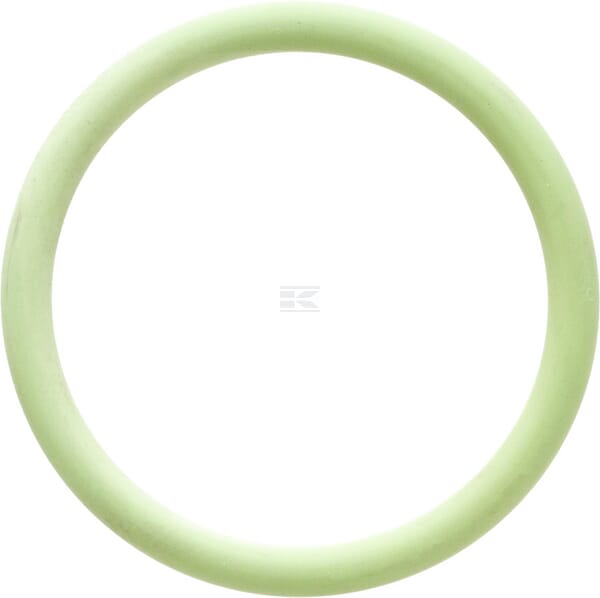 O-Ring 47,00x5,00 FKM 80