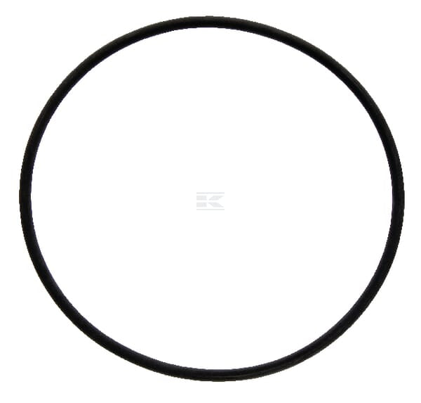 O-Ring 172,00x6,00 FKM 80