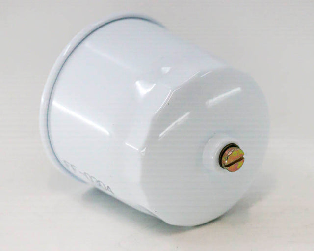 FF-0304 Kraftstofffilter-Set