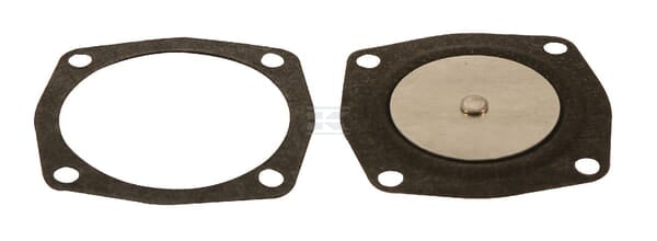 Diaphragma und Dichtung