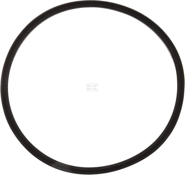 Dichtring