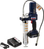 Akku-Fettpresse 12V