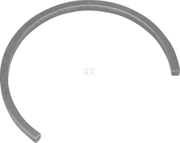 Fixierring