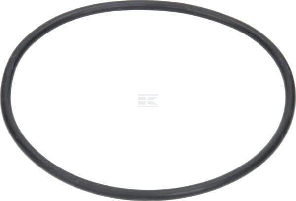 O-Ring für Filter 319
