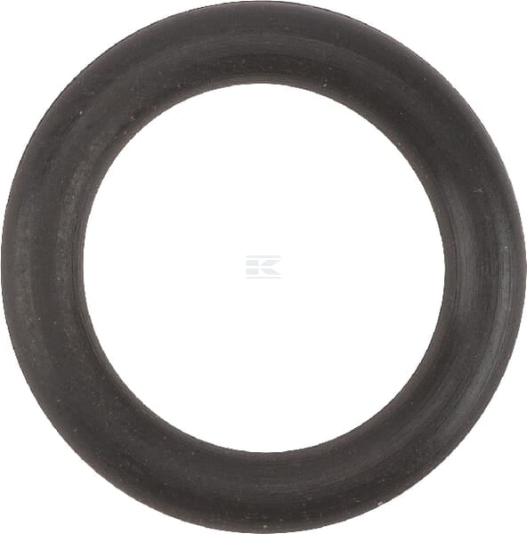 O-Ring