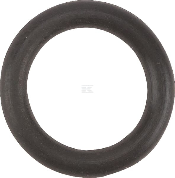 O-Ring