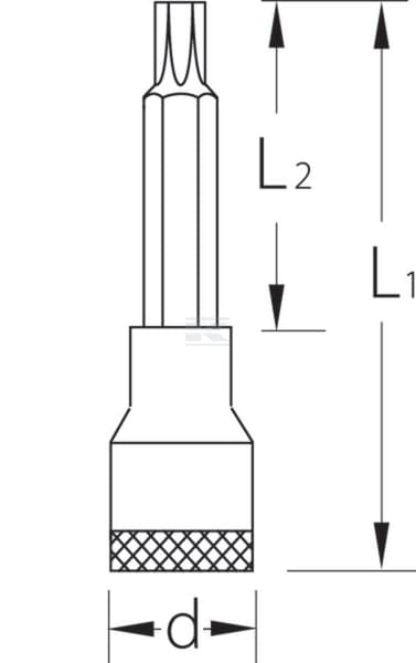 Schraubendreher-Steckschlüssel 3/8", lang, TORX T20