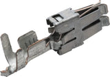 Elektr. Stecker