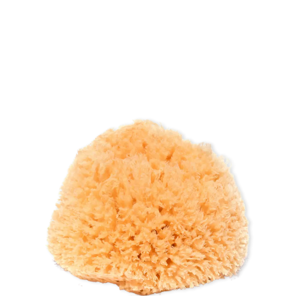 jolu Naturschwamm