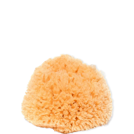 jolu Naturschwamm