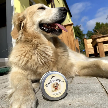 jolu Shampoo Bar für den Hund