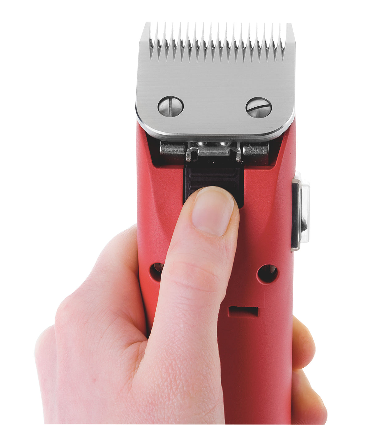 Kerbl Aesculap Schermaschine FAV5