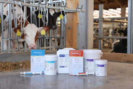 Kerbl Agrodiar®-K Powder