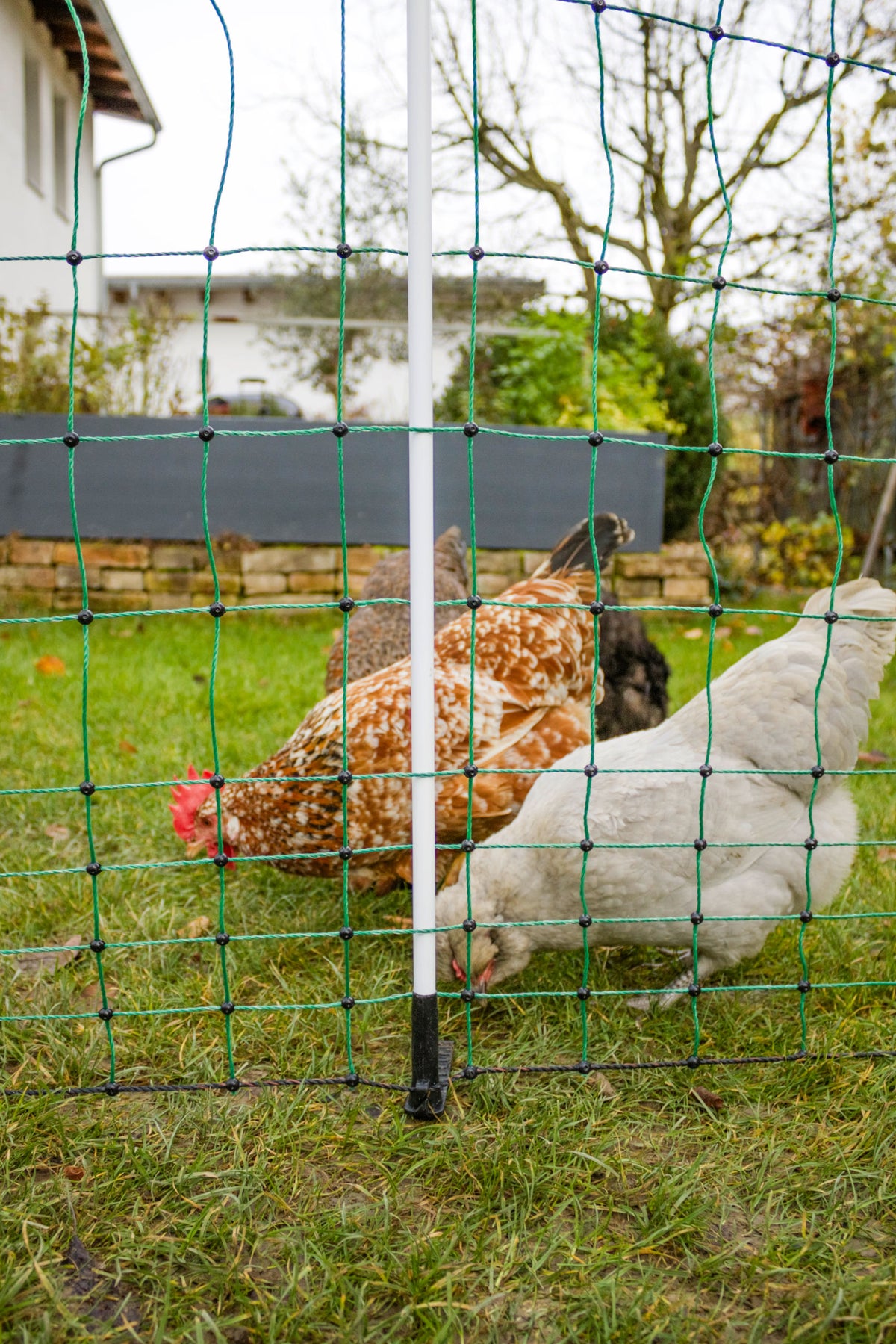 Kerbl AKO PoultryNet Maxi