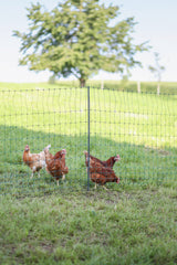 Kerbl AKO PoultryNet Premium