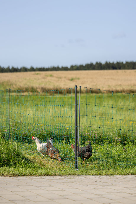 Kerbl AKO PoultryNet Premium