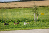 Kerbl AKO PoultryNet Premium
