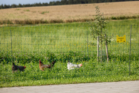 Kerbl AKO PoultryNet Premium