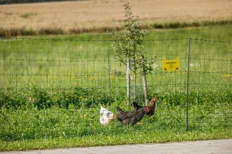 Kerbl AKO PoultryNet Premium