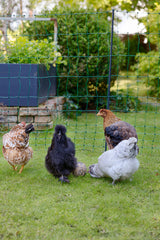 Kerbl AKO PoultryNet Premium