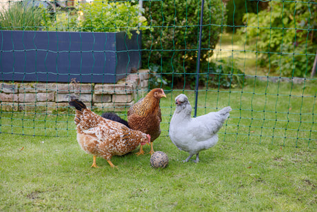 Kerbl AKO PoultryNet Premium