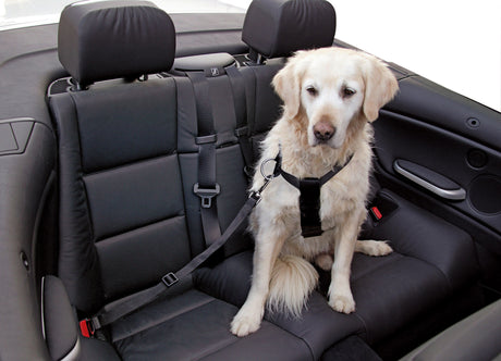 Kerbl Autohundegeschirr